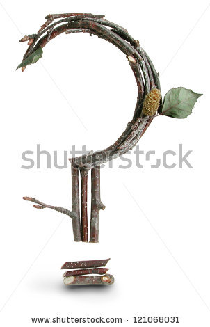 stock-photo-photograph-of-natural-twig-a