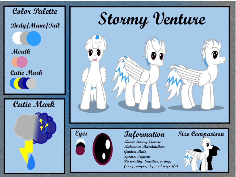 stormy_venture_reference_sheet_by_djspac