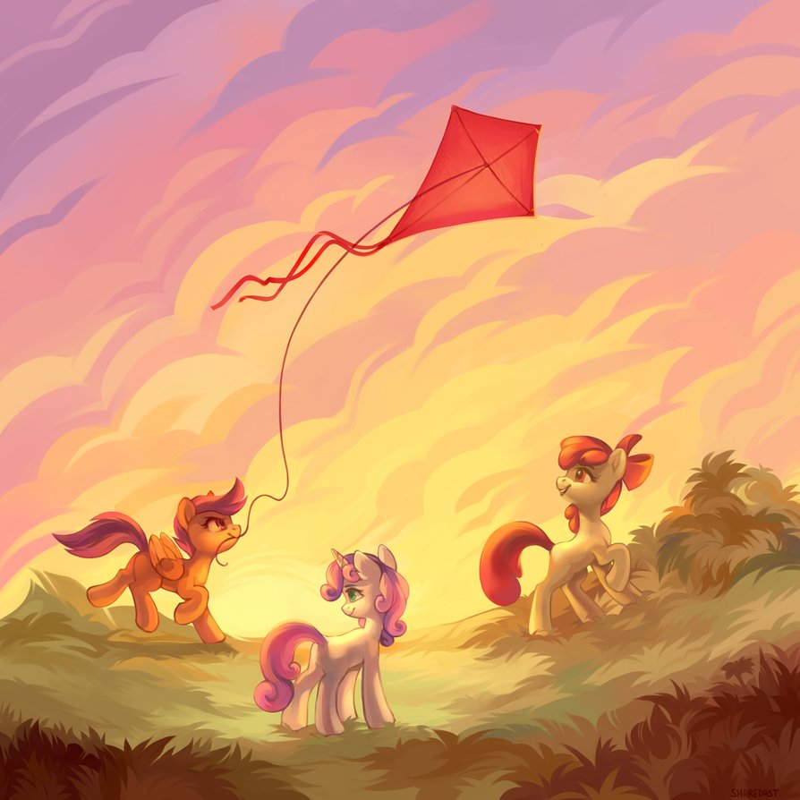 Sunset in the field by ShareDast