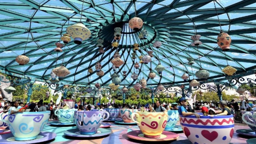 teacups_primary.jpg