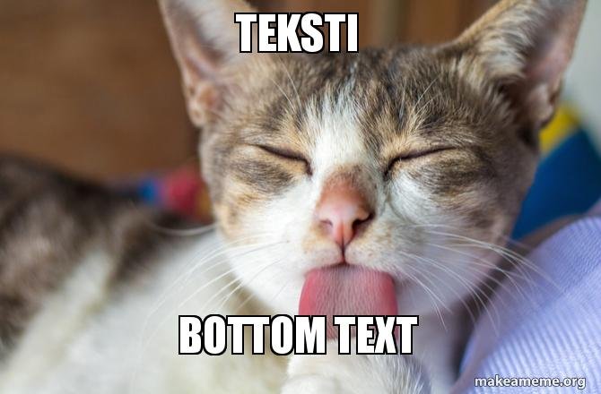 teksti-bottom-text.jpg
