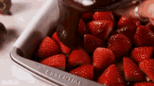Strawberry GIFs | Tenor