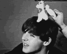 Image result for funny beatles gif