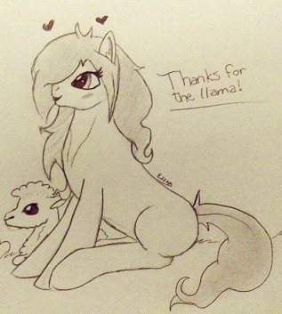 Thanks for the llama! by NamyaNomNom