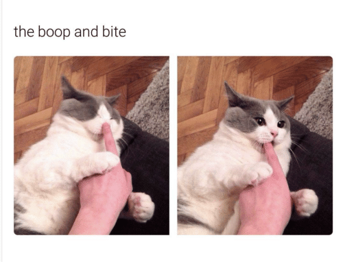 the-boop-and-bite-22383033.png