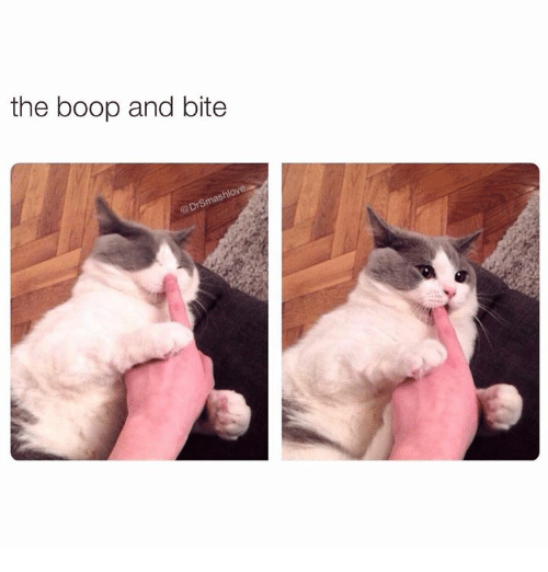 the-boop-and-bite-drsmasnovi-5859618.png