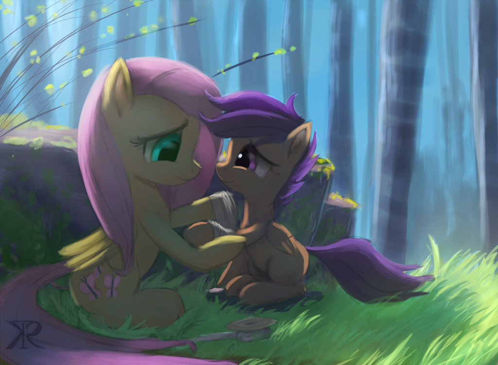 the_kindness_of_fluttershy_by_raikoh_ill