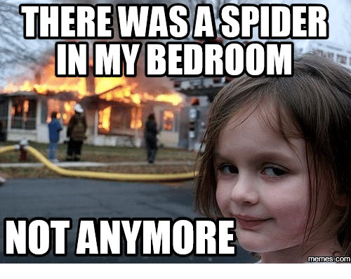 there_wasa_spider_in_my_bedroom_not_anym