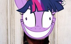Image result for mlp here's johnny