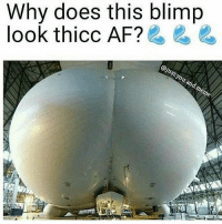 thumb_why-does-this-blimp-look-thicc-af-