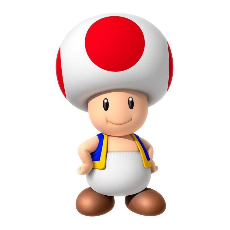 Image result for Toad Mario