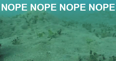 tumblr_inline_mhqbvyLipA1qz4rgp.gif