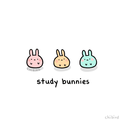 If you still have finals like me, these study bunnies will help you out! >w< Good luck to everyone with their studies~