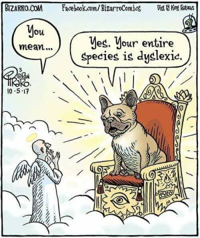 Image result for dog god comic dyslexic