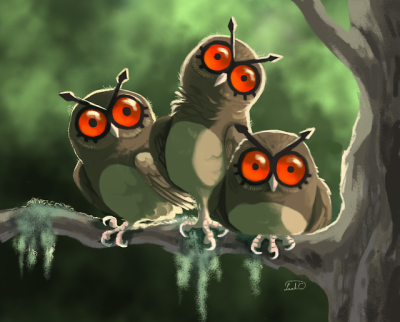 Image result for hoothoots