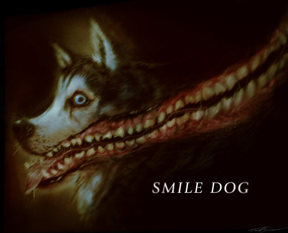 Image result for Smile dog