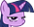 twi-norly.png