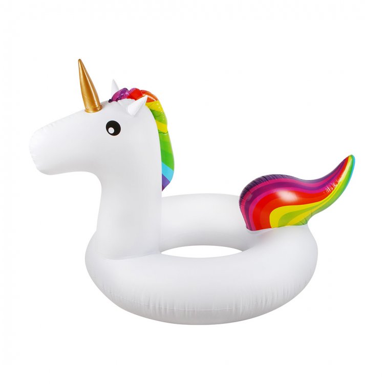 Image result for unicorn floatie