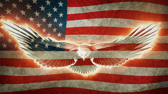 Image result for usa flag gif