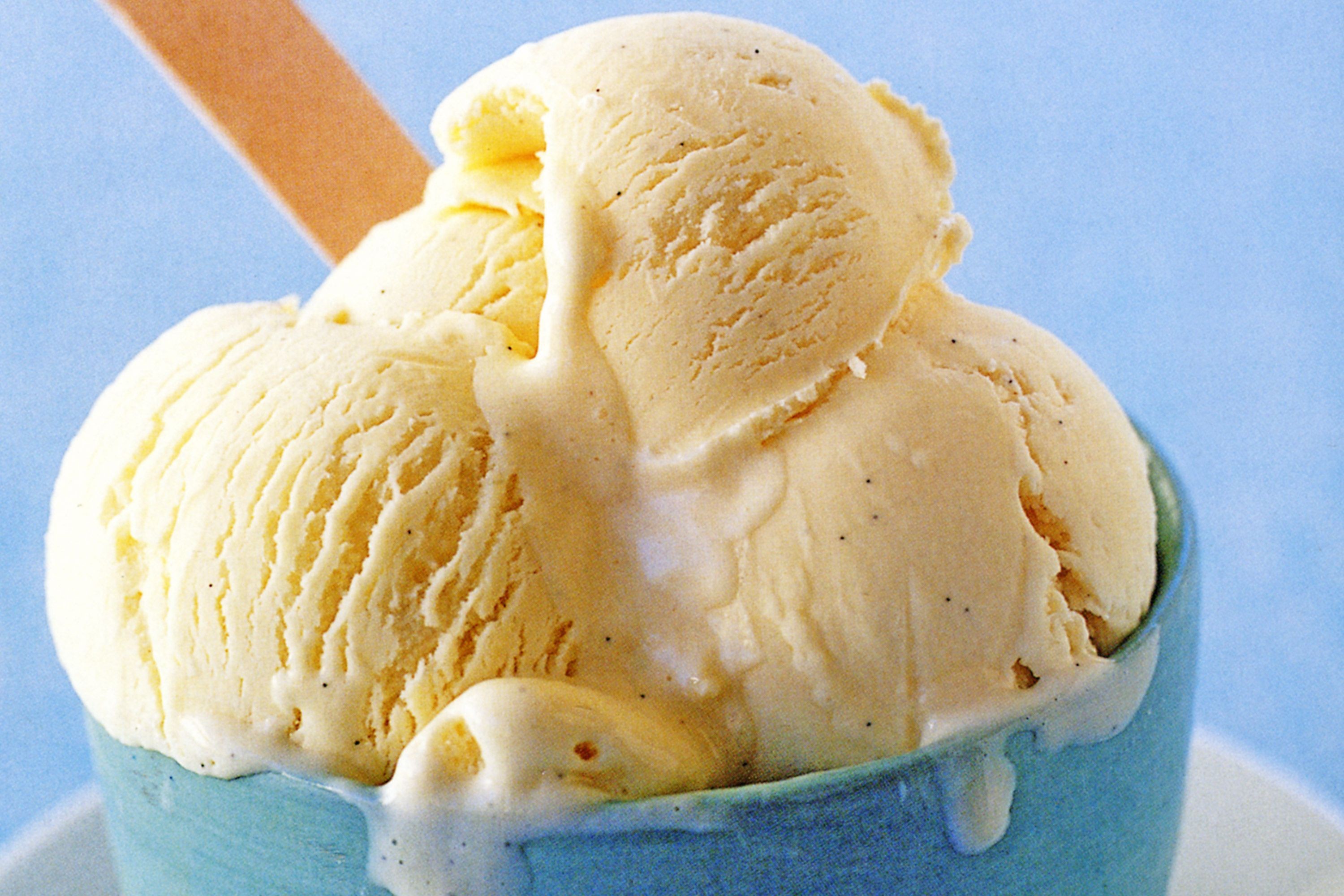 vanilla-bean-ice-cream-12608-1.jpeg