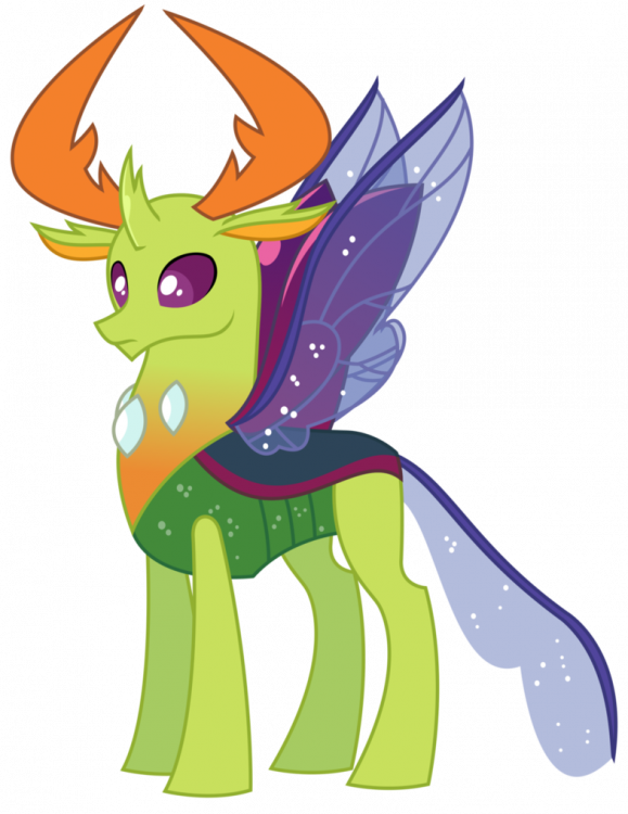 Image result for thorax mlp