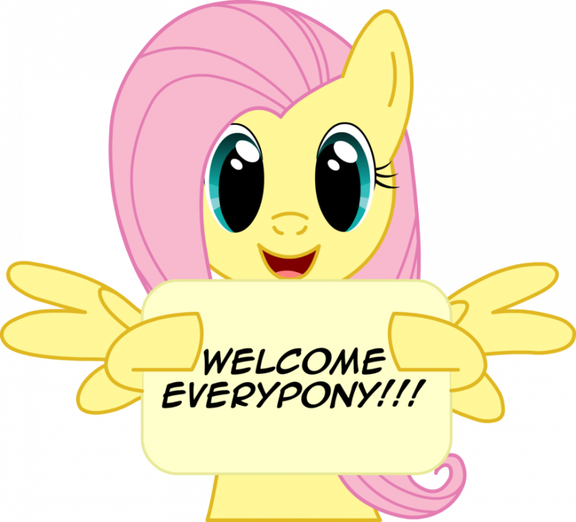 Image result for mlp welcome