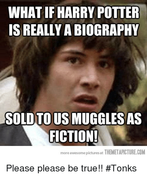 what-if-harry-potter-is-really-a-biograp