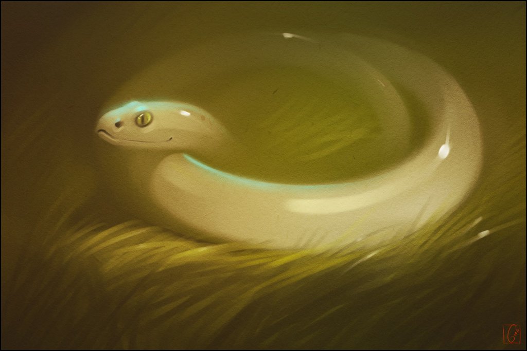 white ring by GaudiBuendia