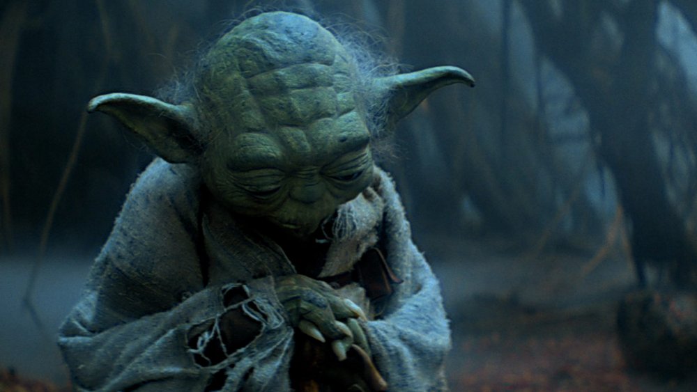 Image result for wise yoda