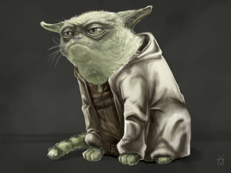 yoda_the_cat.jpg