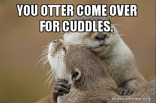 you-otter-come.jpg