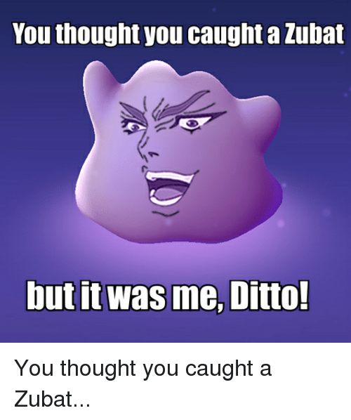 you-thought-you-caught-azubat-but-it-was