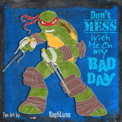 You Messed with the wrong Turtle by RaphLuna