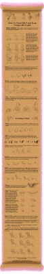 post-1029-0-82163500-1358100354_thumb.png