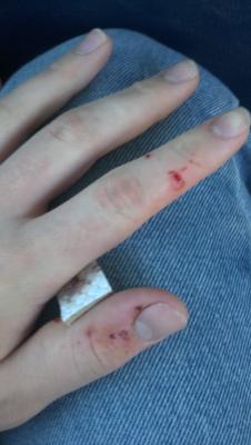 post-6541-0-22080600-1369800749_thumb.jpg