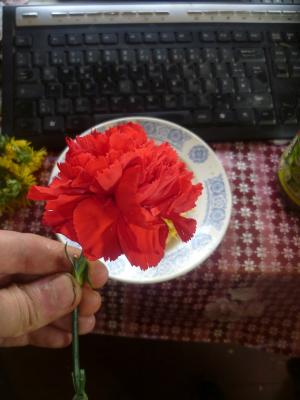 post-26154-0-24775800-1401116249_thumb.jpg