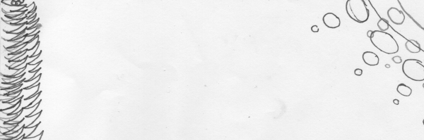 post-26450-0-05107700-1401562128_thumb.png