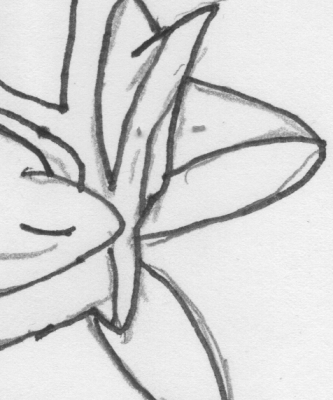 post-26450-0-96425200-1401562136_thumb.png