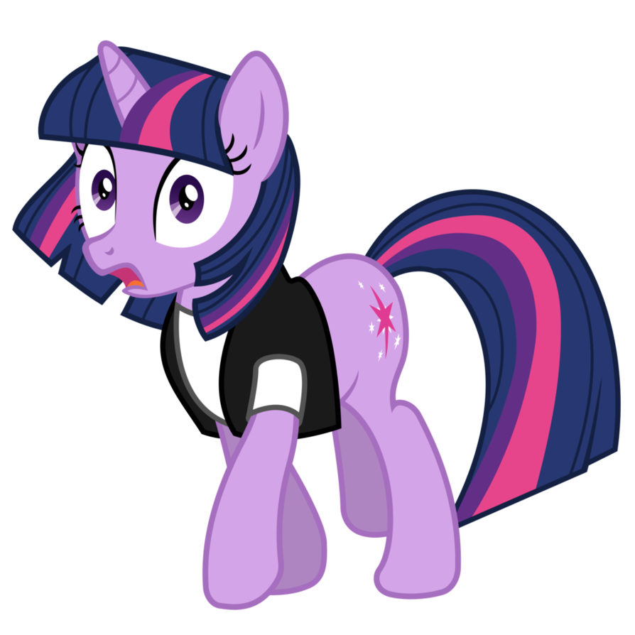 Princess Twilight Sparkle by yuki139 on deviantART  My little pony twilight,  Princess twilight sparkle, Twilight sparkle