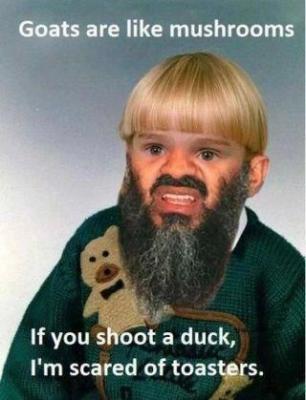 post-1762-0-23089600-1345945820_thumb.jpg