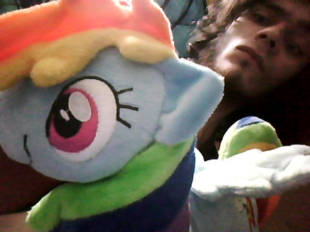 dashie plush doll