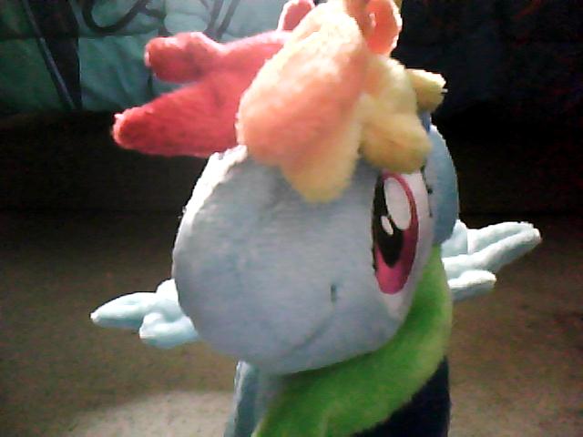 dashie plush doll