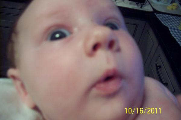 post-39011-0-63018700-1481864065_thumb.jpg