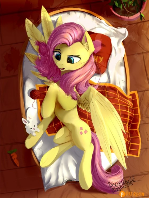 1380193__safe_artist-colon-discordthege_angel+bunny_fluttershy_aerial+view_bed_blanket_carrot_cute_duo_food_patreon_pillow_plan.jpg