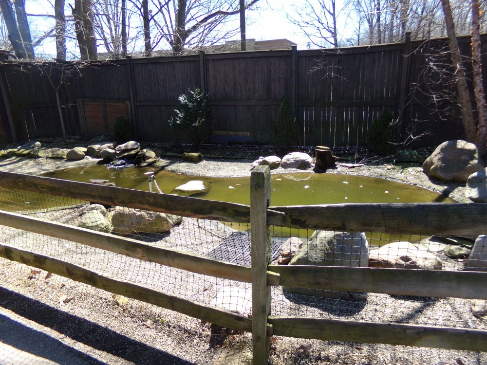 Duck Exhibit Nature Center.JPG