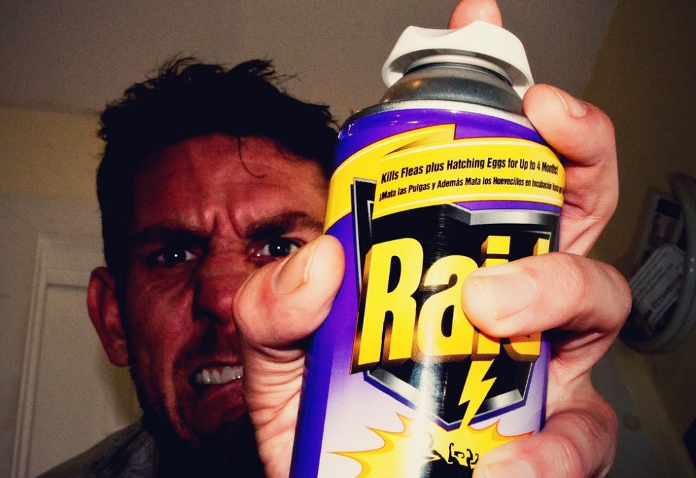 Raid-spray.thumb.jpg.f8a14b0f41296c972ed550fcbe45f41a.jpg