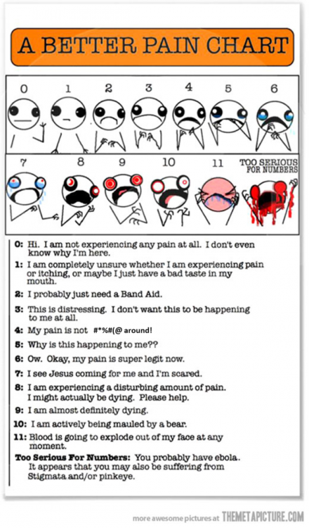 pain-chart.thumb.png.17893dc19d8baddc2182ccf69a884221.png