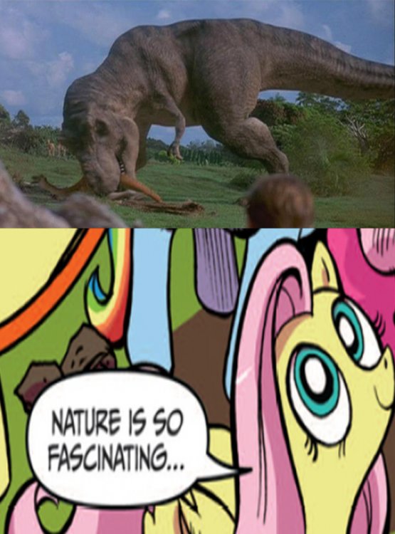 fluttershy_meme_by_andres_j_t-d8um3au.thumb.jpg.e78729000ac2a37af7713386a1739ad7.jpg