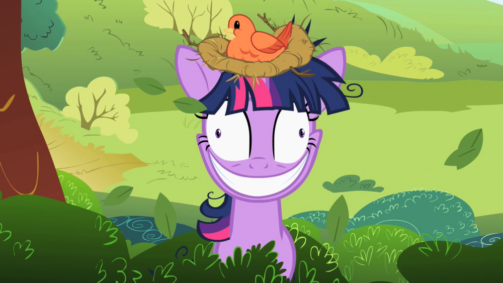 twilight_sparkle_with_a_birds_nest_on_her_head_s2e03.png