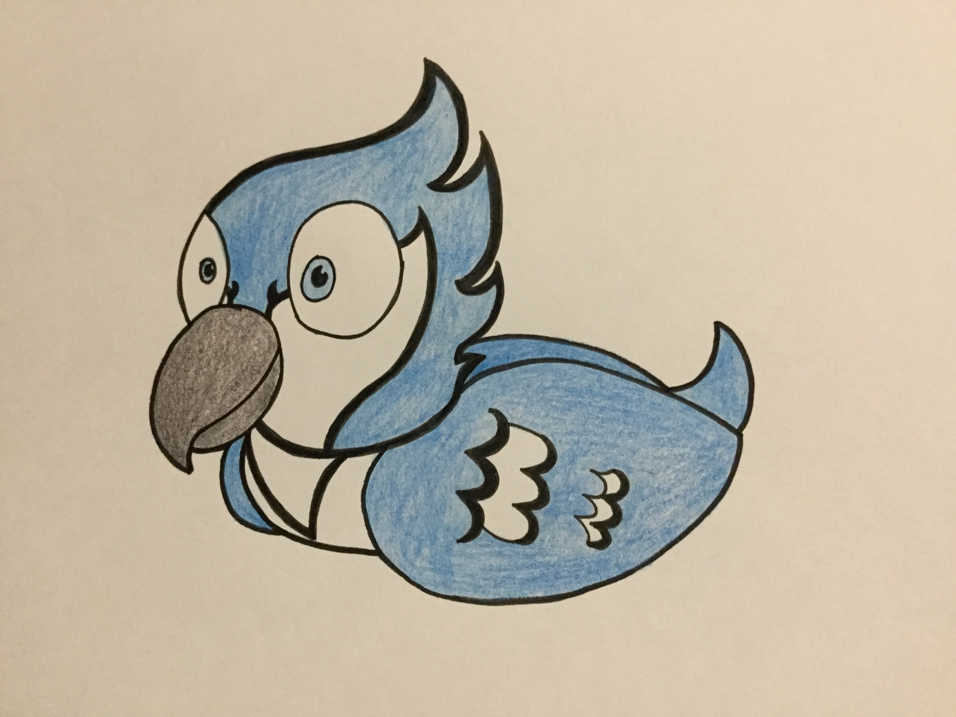 How to Draw a Blue Jay